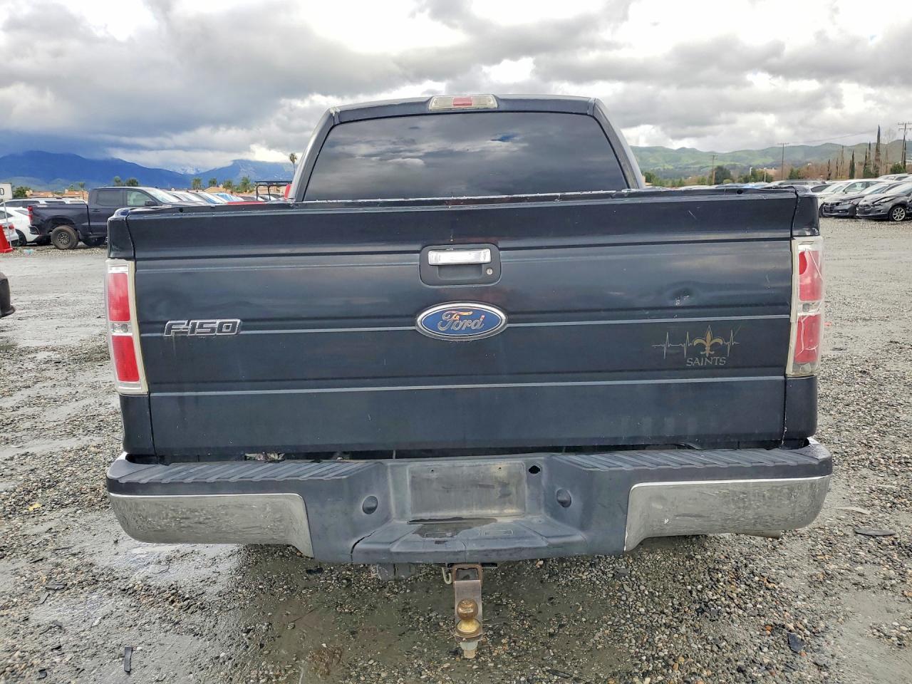 2010 FORD F-150