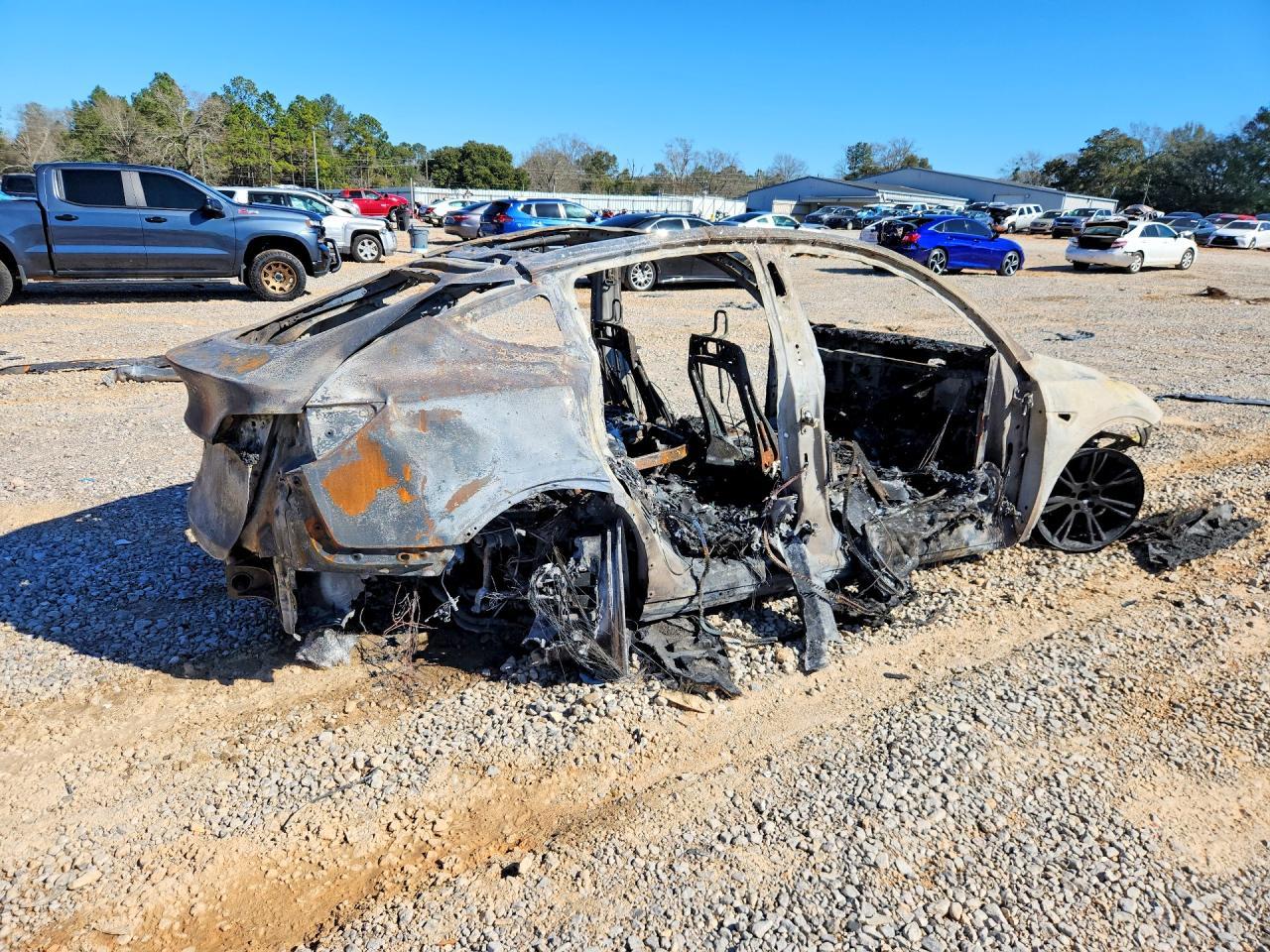 2024 TESLA MODEL Y