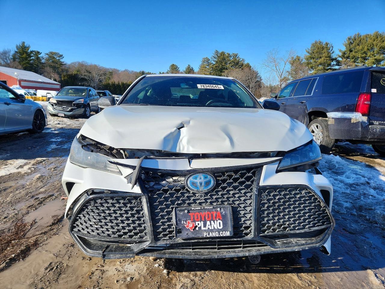 2021 TOYOTA Avalon