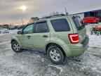 2010 FORD Escape Hybrid