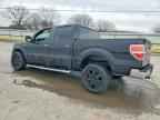2013 FORD F-150 Lightning