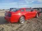 2006 FORD MUSTANG