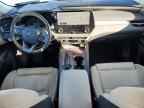 2023 LEXUS RX 350
