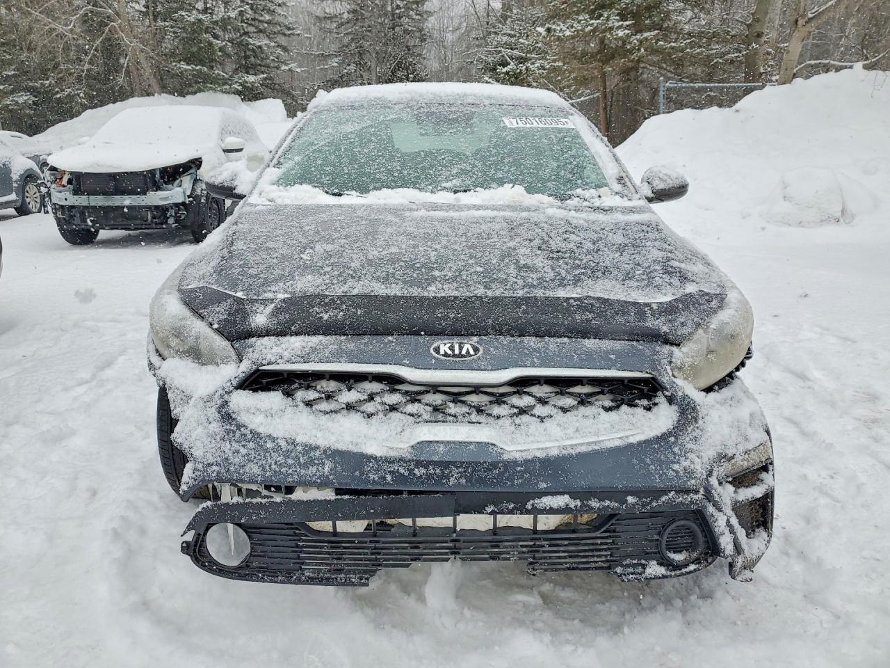 2019 KIA FORTE