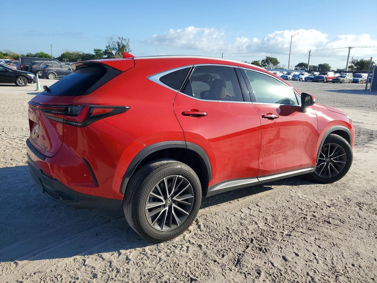 2024 LEXUS NX 250
