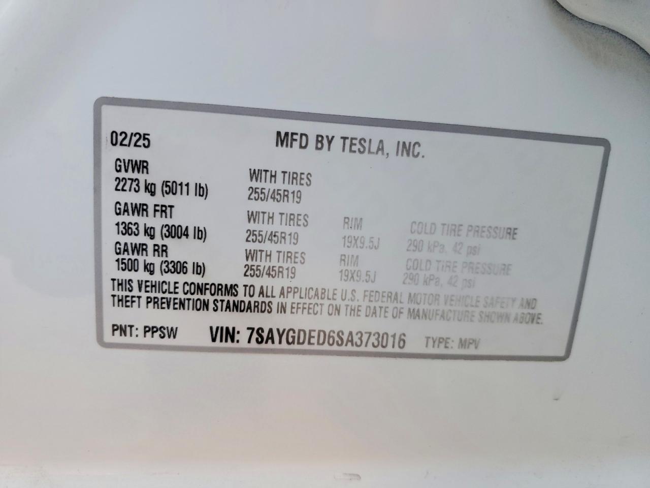 2025 TESLA MODEL Y