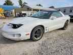 2001 PONTIAC Firebird