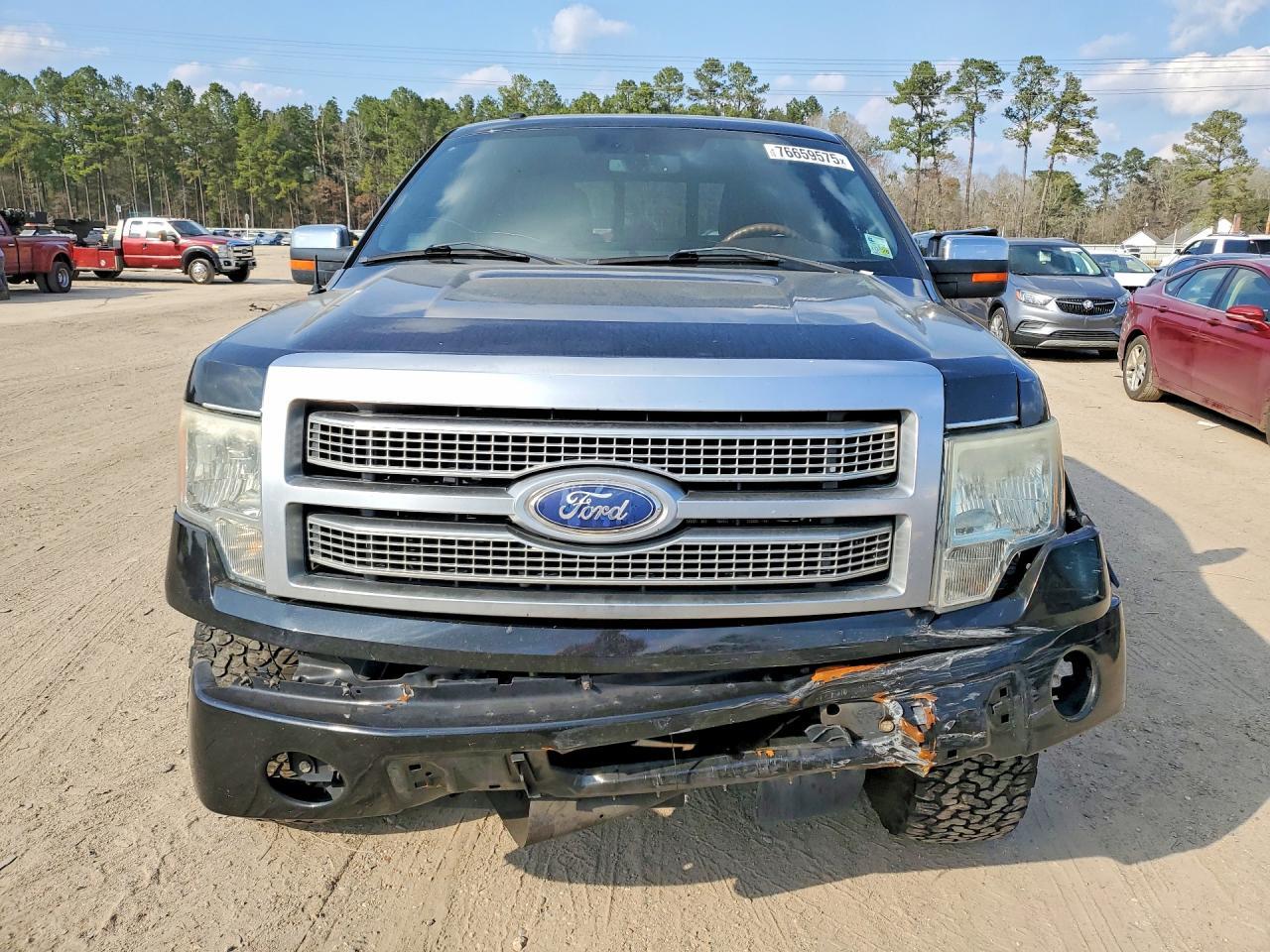 2010 FORD F-150 Lightning
