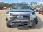 2010 FORD F-150 Lightning