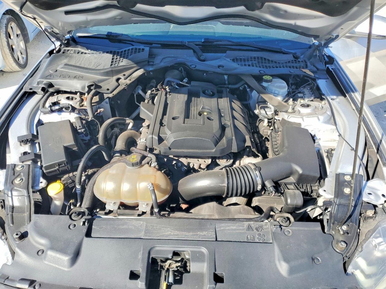 2019 FORD MUSTANG