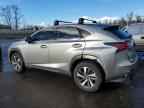 2020 LEXUS NX 300