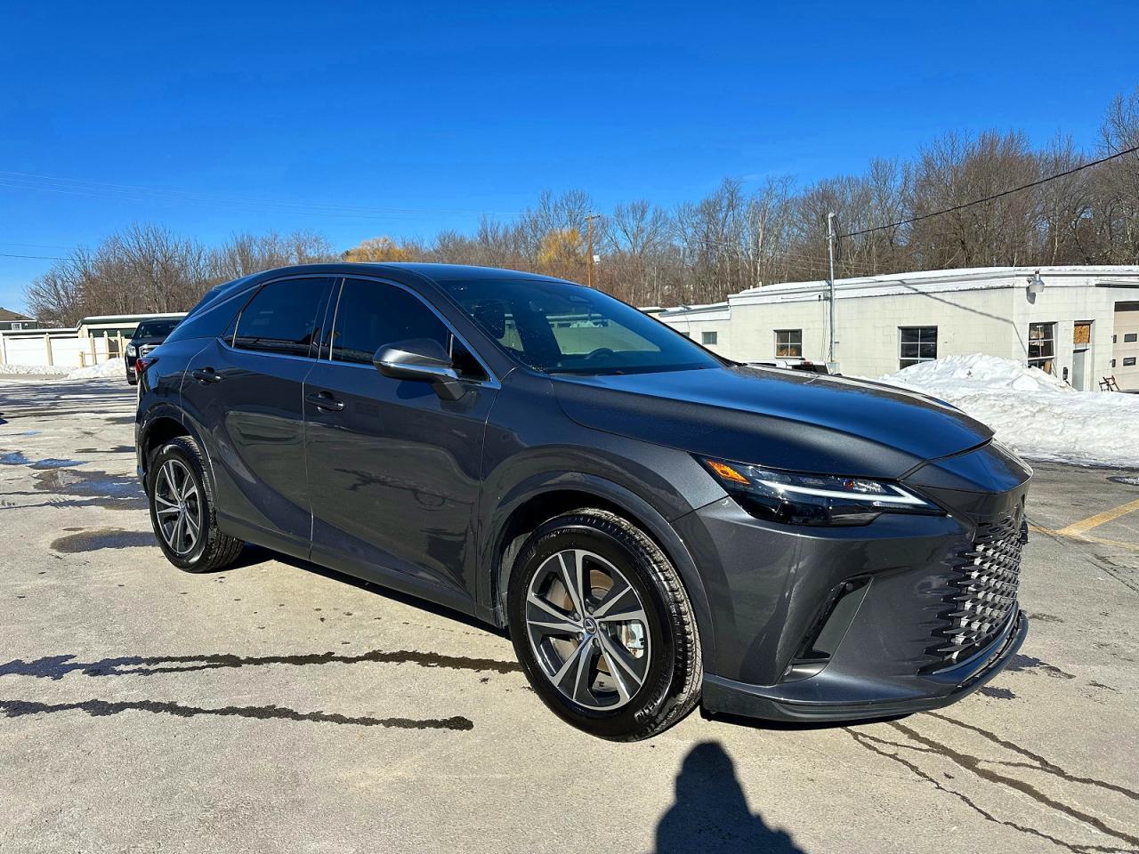 2025 LEXUS RX 350