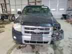 2009 FORD ESCAPE
