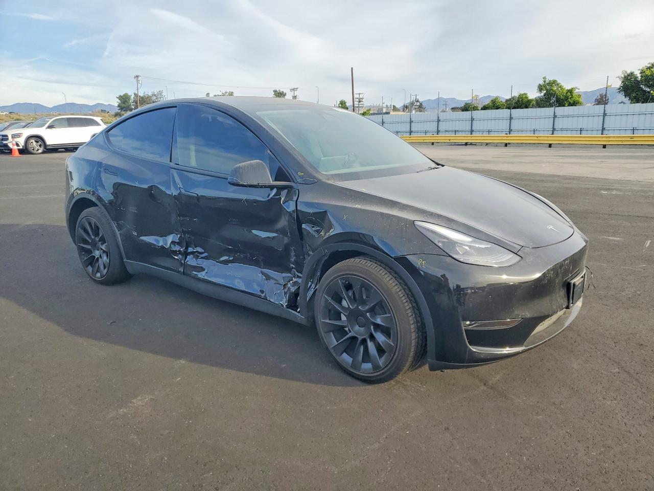 2025 TESLA MODEL Y