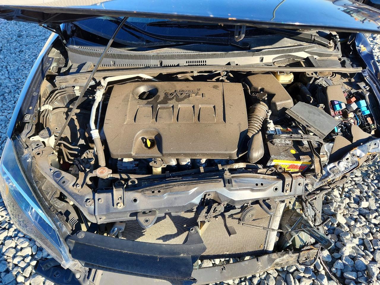 2019 TOYOTA COROLLA