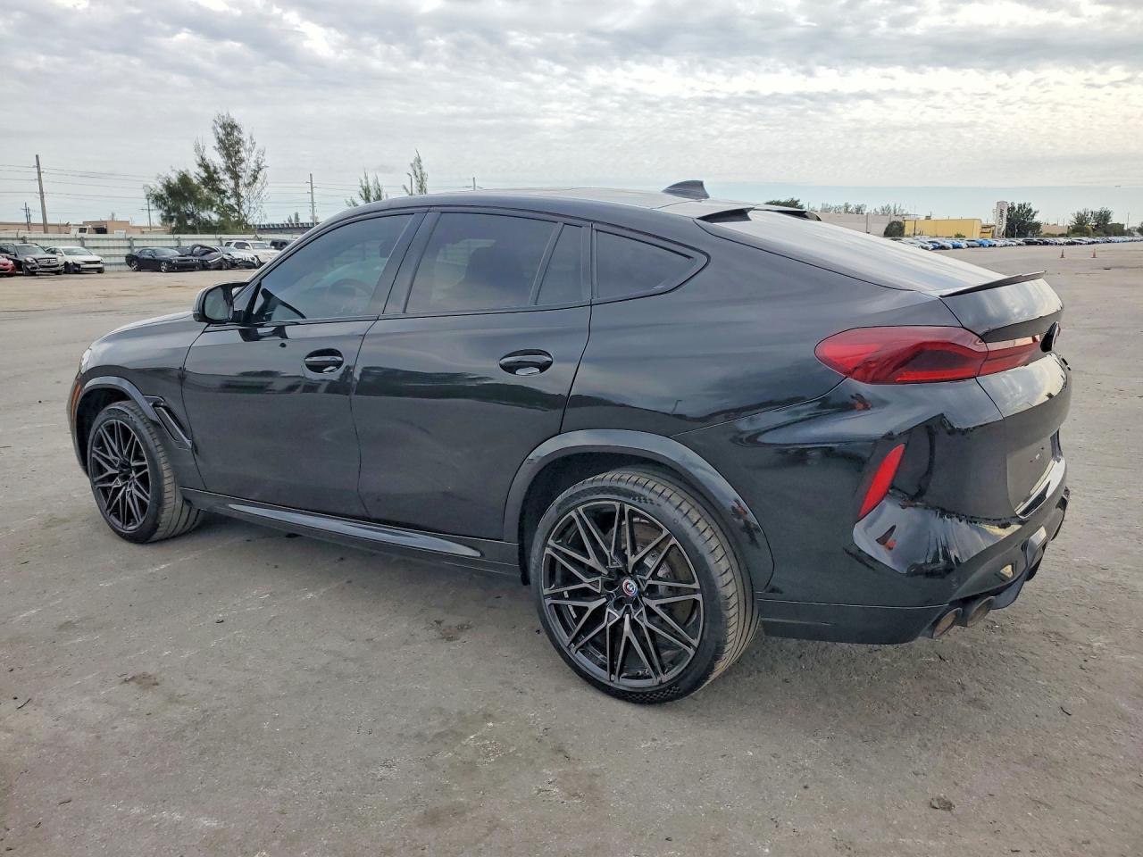 2023 BMW X6