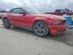 2010 FORD MUSTANG