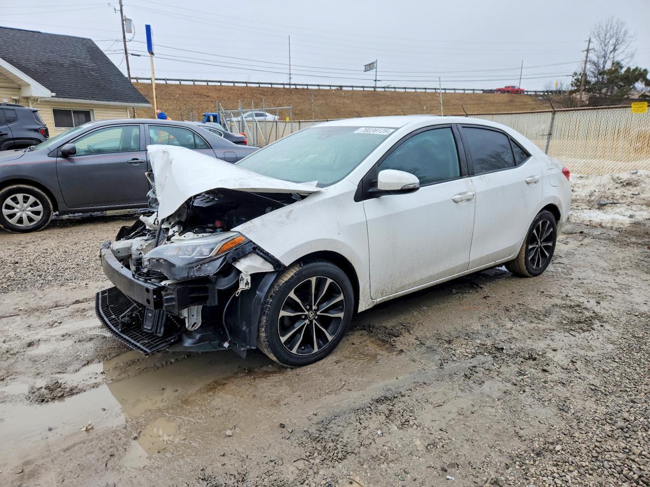 2019 TOYOTA COROLLA