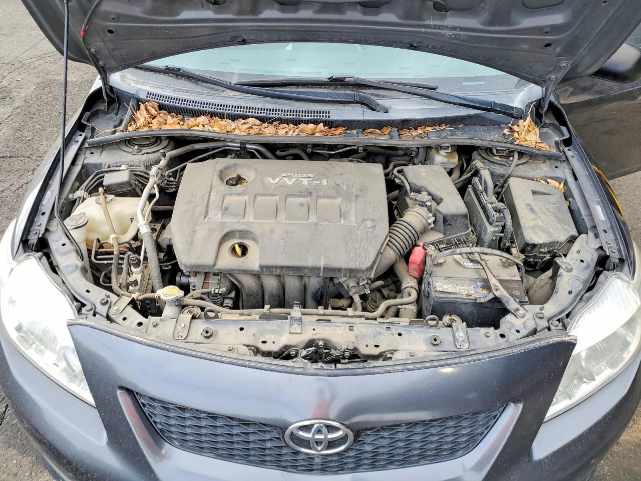 2010 TOYOTA COROLLA