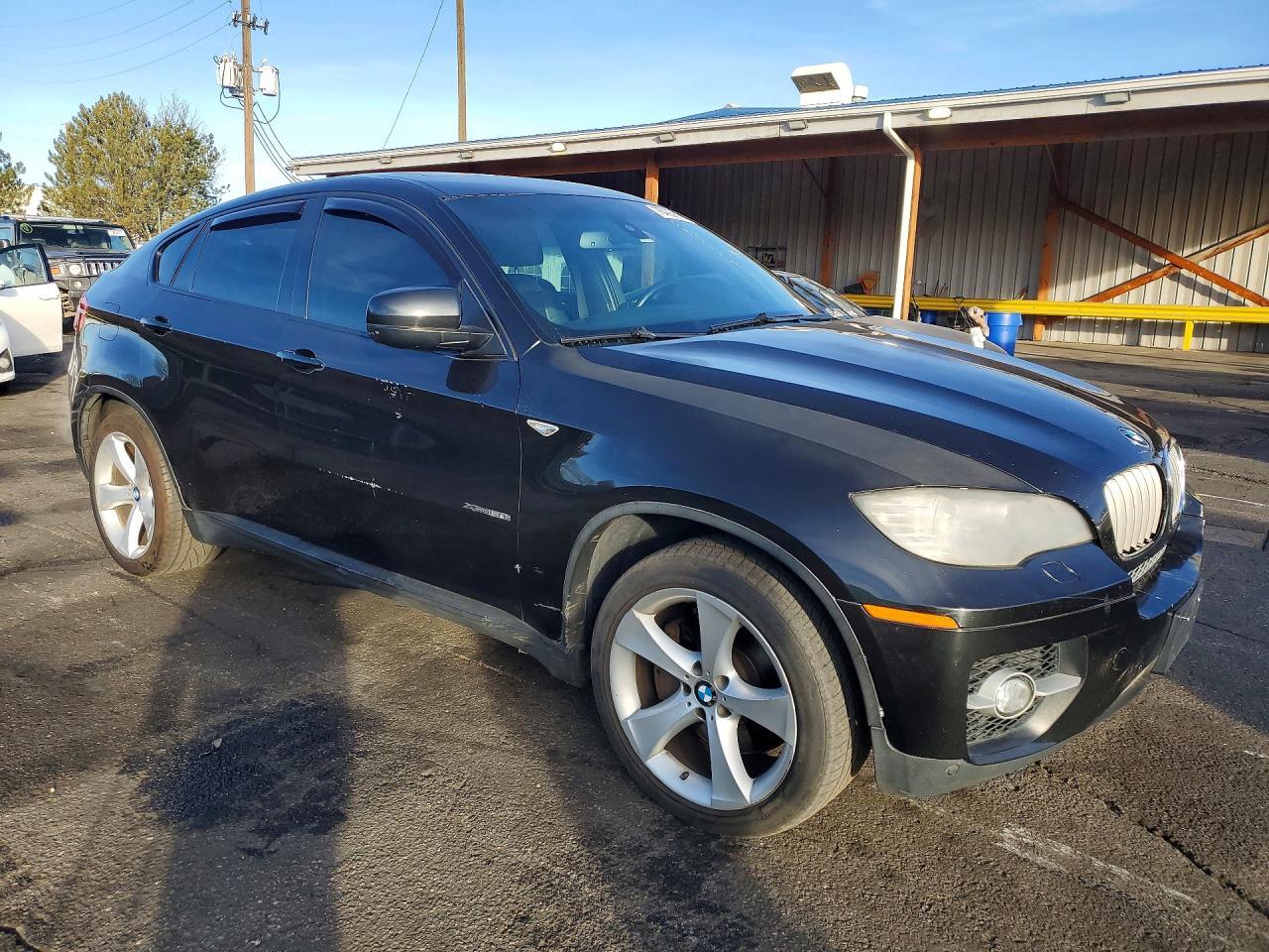 2010 BMW X6