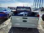 2024 FORD Maverick