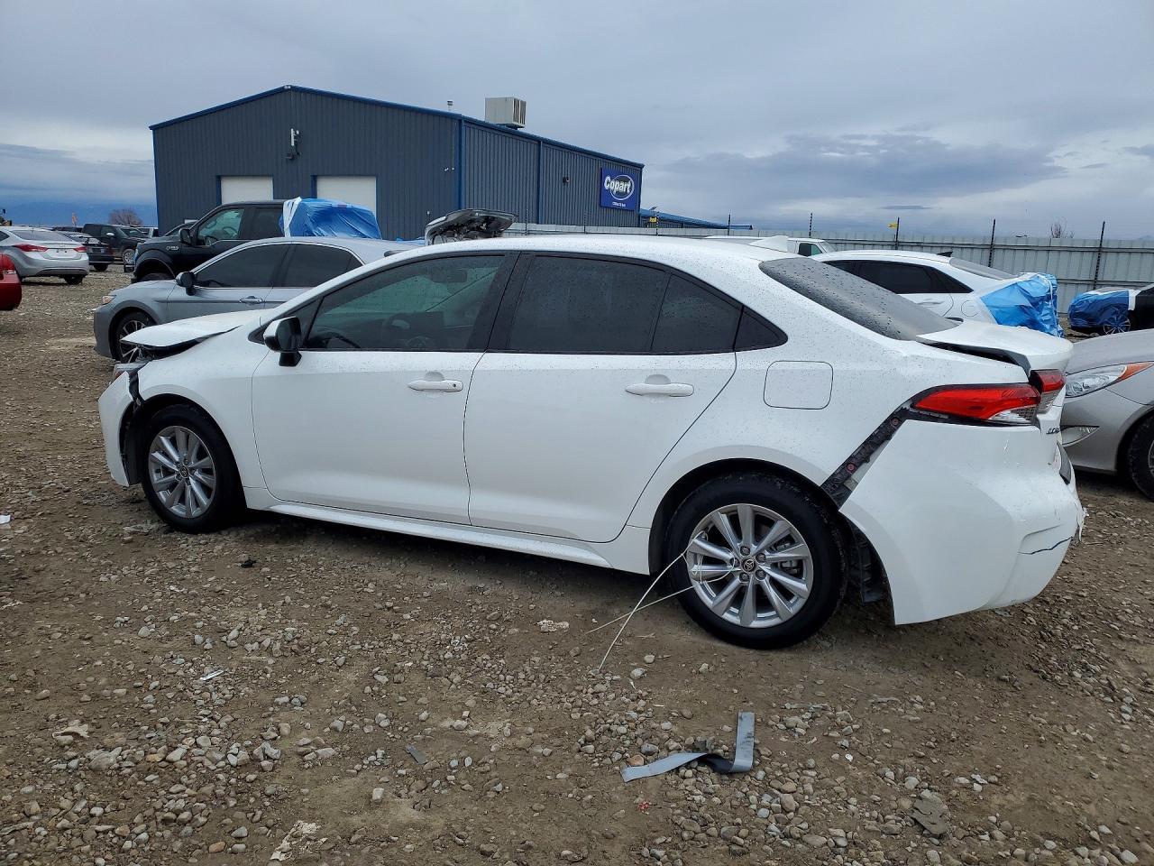 2023 TOYOTA COROLLA