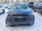 2025 SUBARU Ascent
