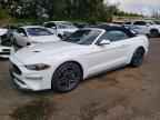 2023 FORD MUSTANG