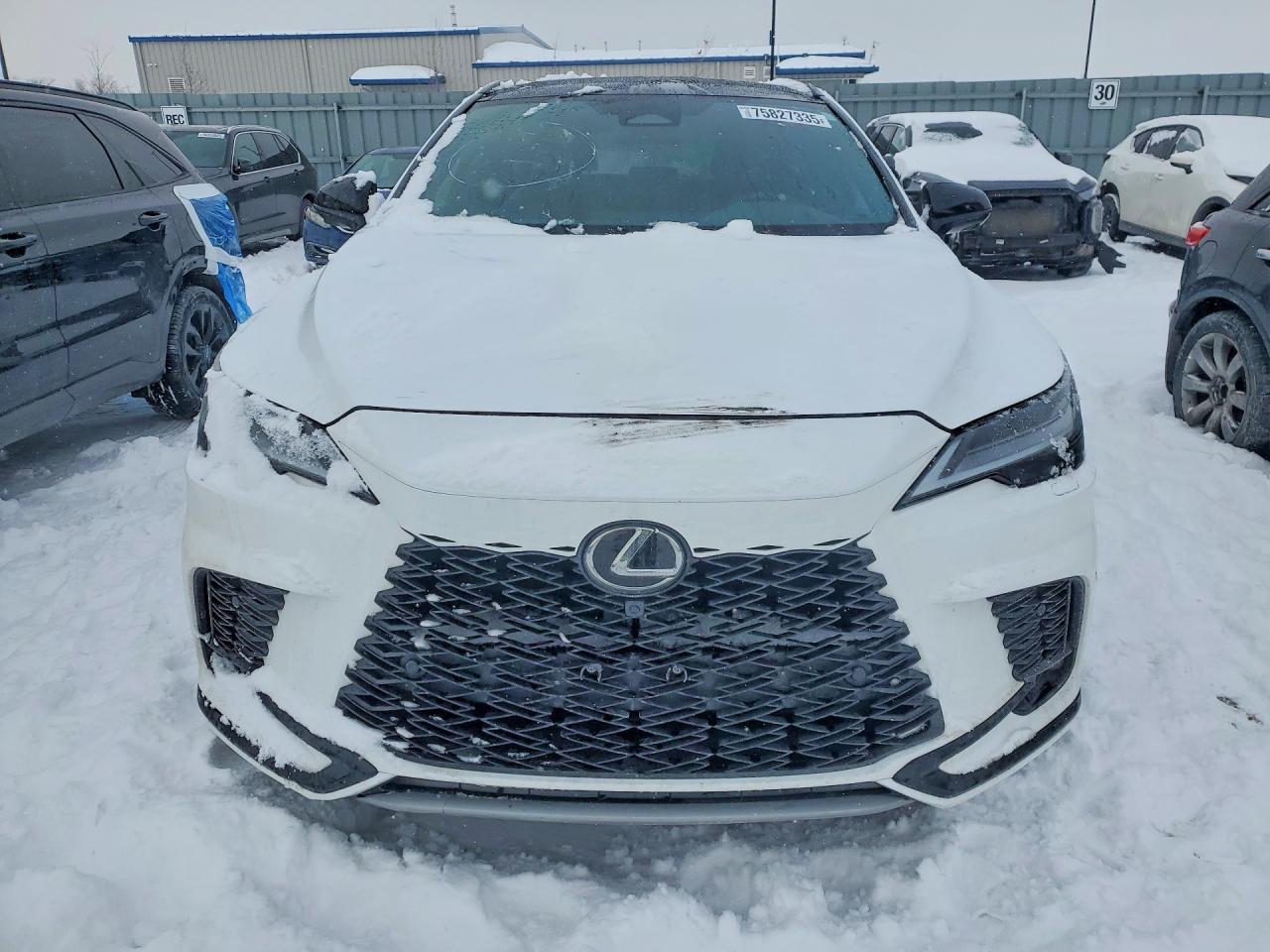 2023 LEXUS RX 500H