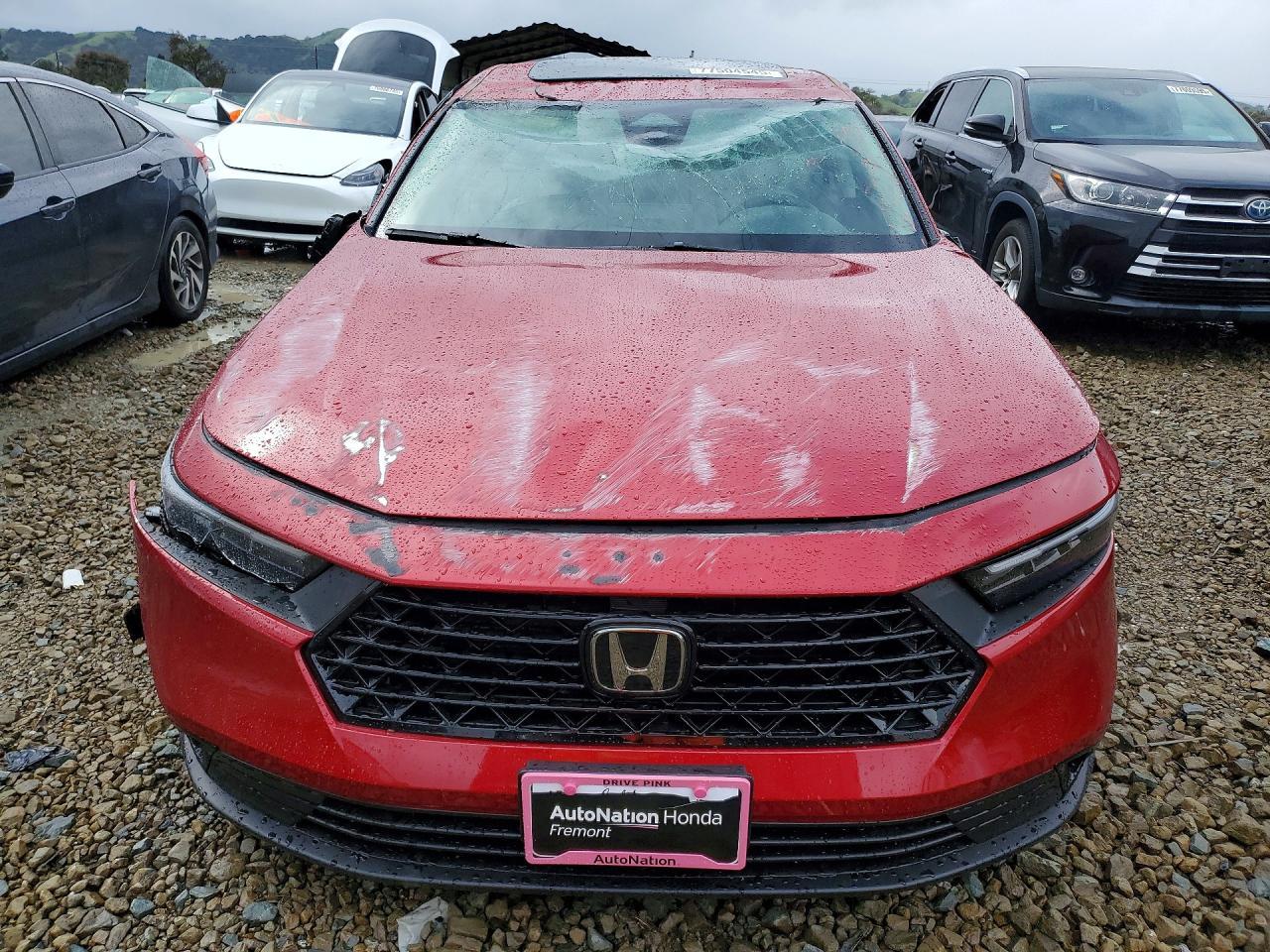 2025 HONDA ACCORD