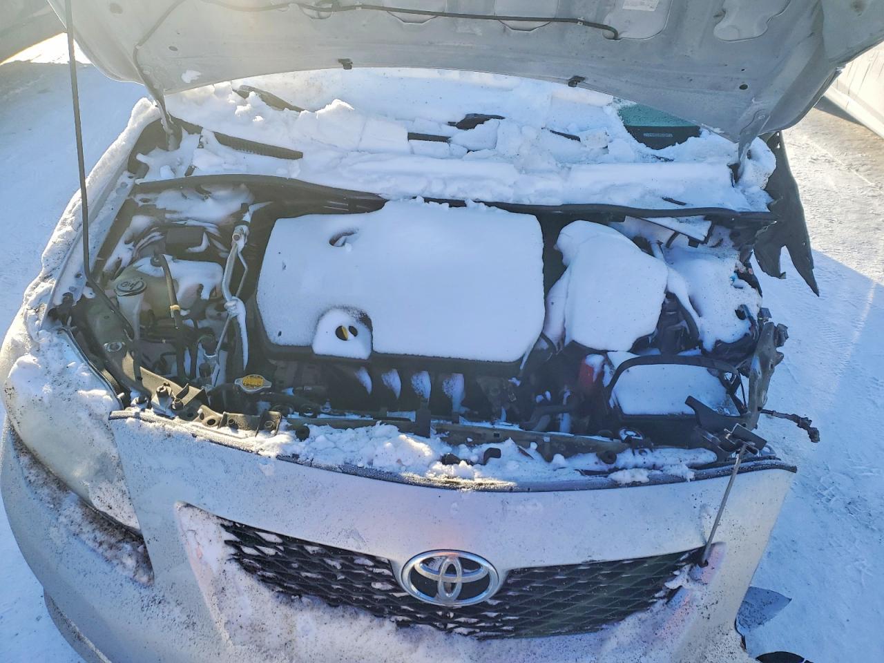 2010 TOYOTA COROLLA