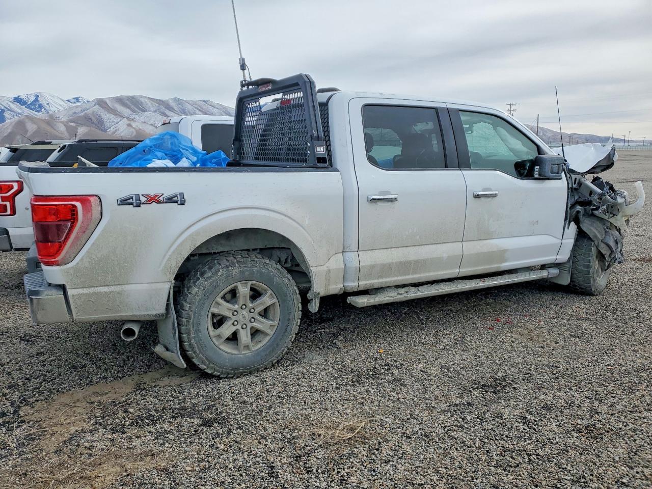 2021 FORD F-150