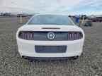 2013 FORD MUSTANG