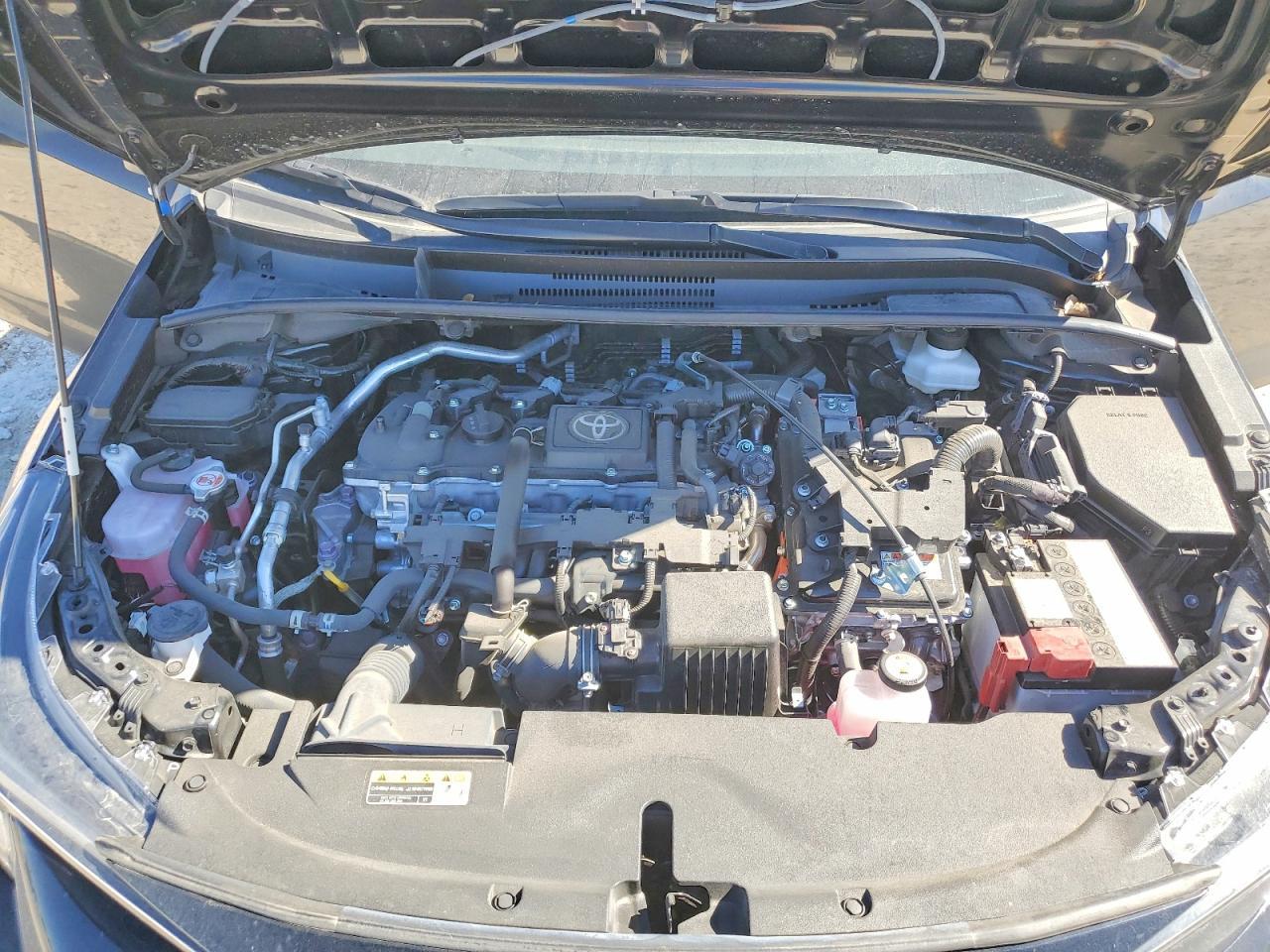2025 TOYOTA COROLLA