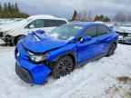 2023 SUBARU WRX