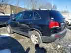 2011 KIA SORENTO