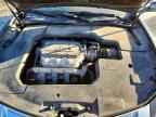 2010 ACURA TL