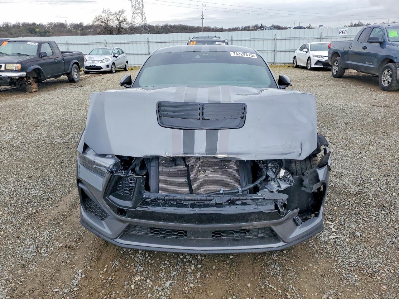 2025 FORD MUSTANG