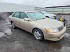 2004 TOYOTA Avalon