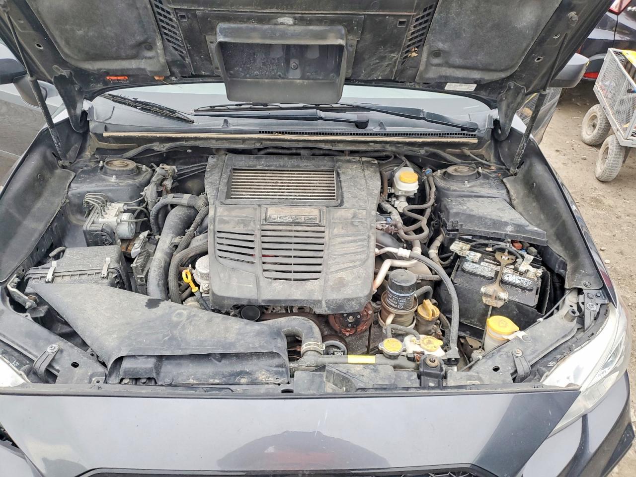 2021 SUBARU WRX