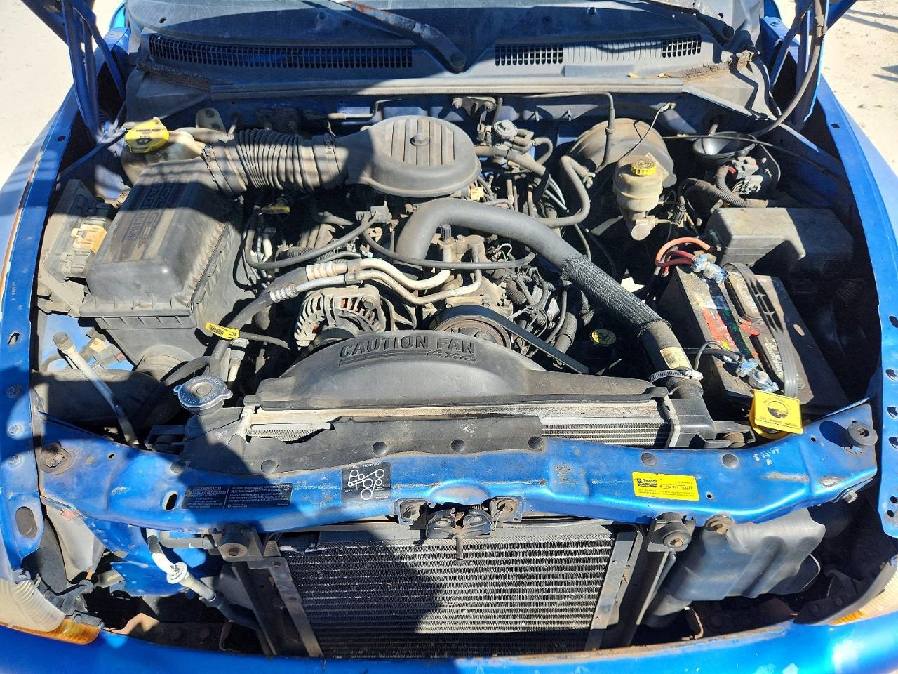 1999 DODGE Dakota