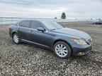 2009 LEXUS LS 460