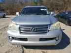 2012 LEXUS GX 460