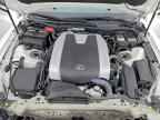 2023 LEXUS IS 350
