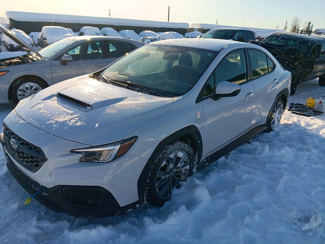 2023 SUBARU WRX