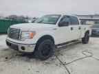 2011 FORD F-150 Lightning