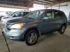 2010 HONDA CR-V