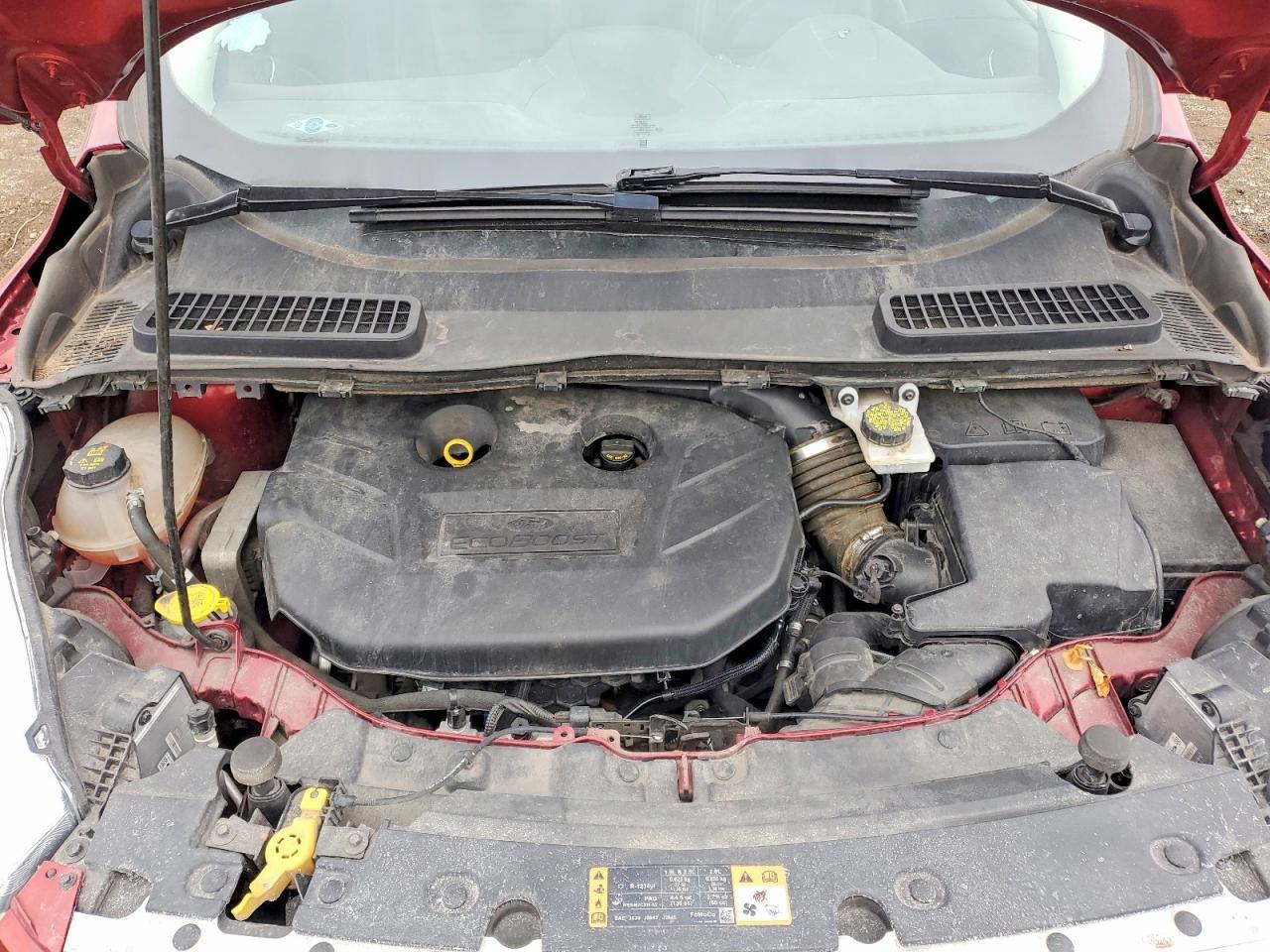 2019 FORD ESCAPE