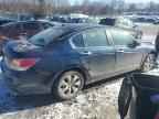 2010 HONDA ACCORD