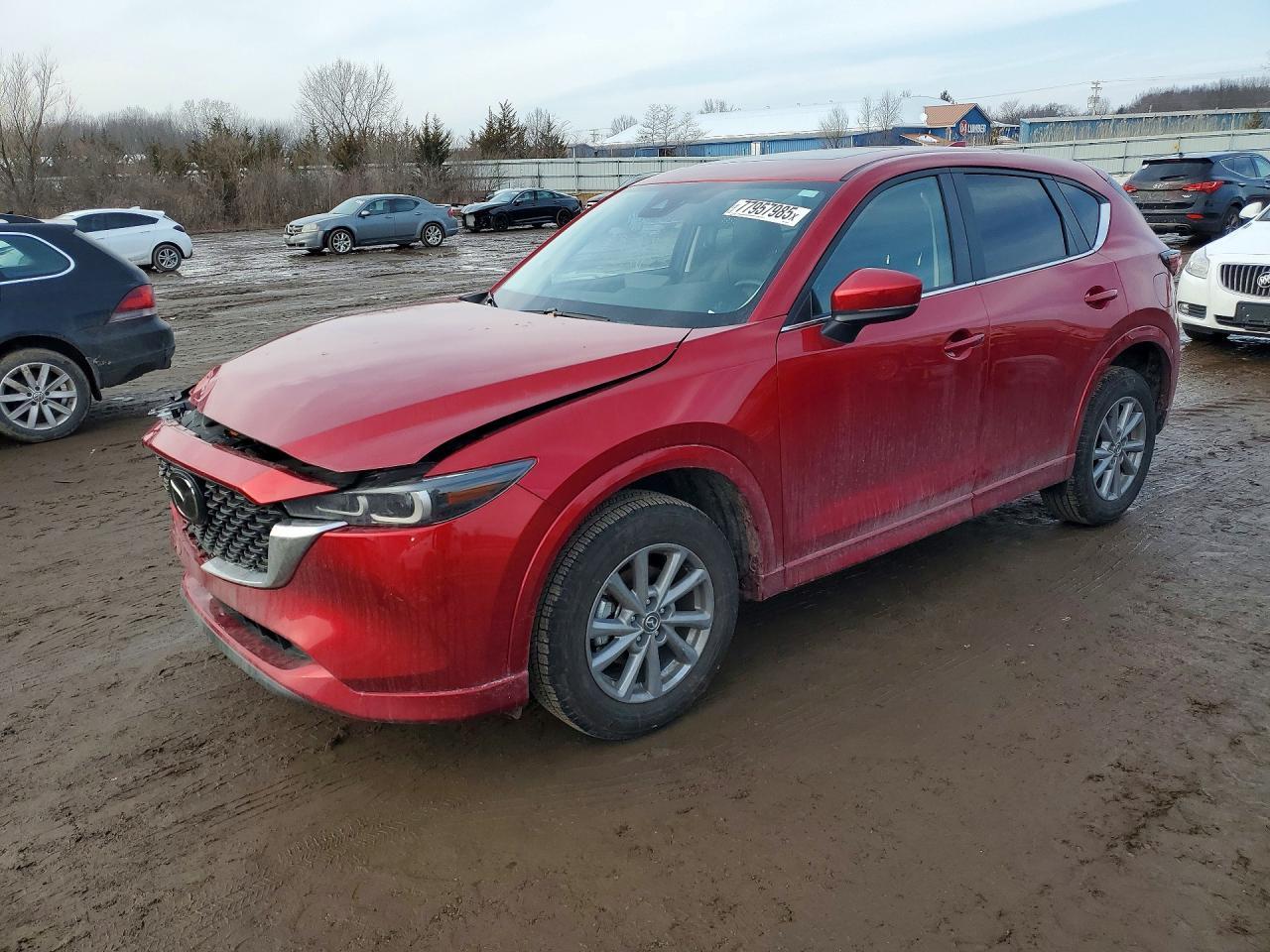 2024 MAZDA CX-5